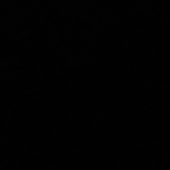 Meet your Posher, Ann - Picture 1 of 1